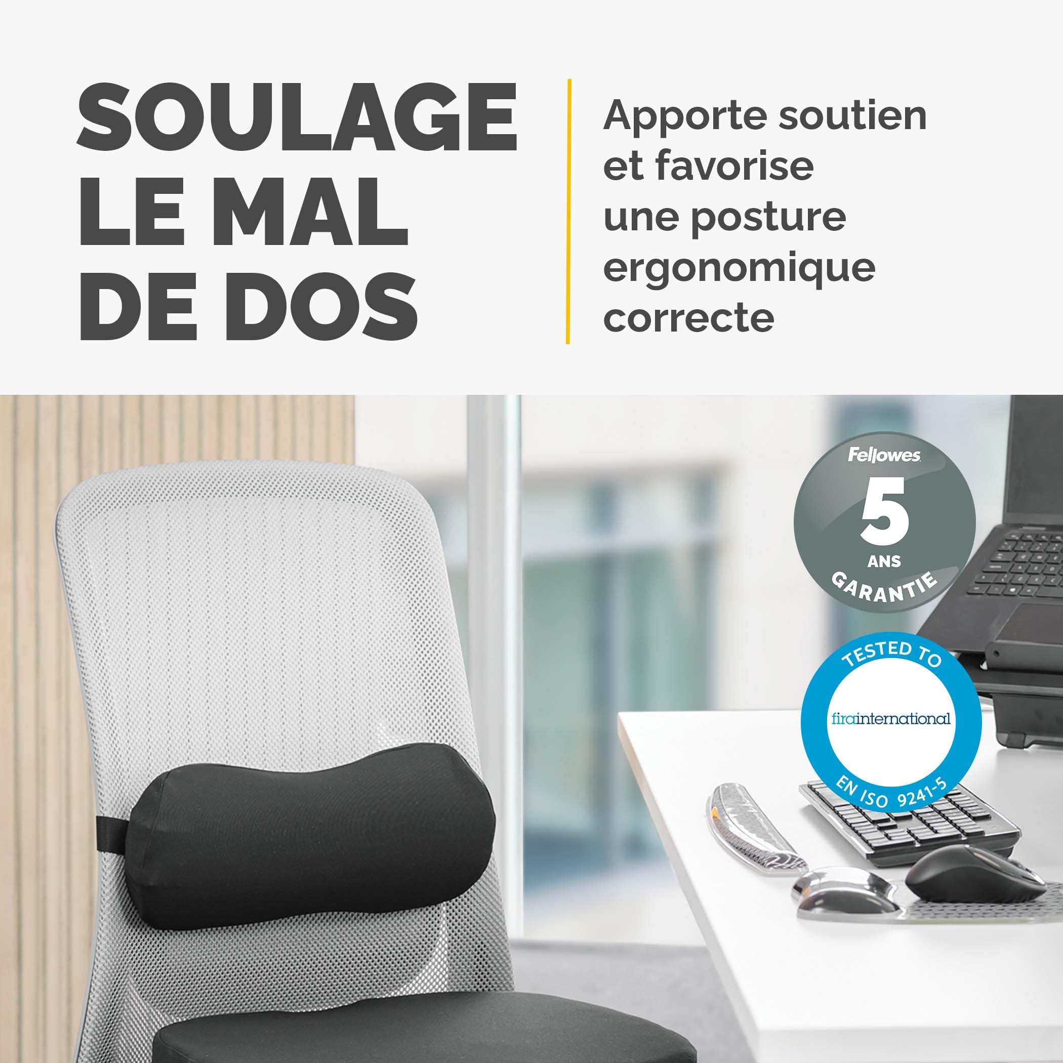 fellowes-breyta-coussin-lombaire-ergonomique-sangle-ajustable-garantie-5-ans image 2