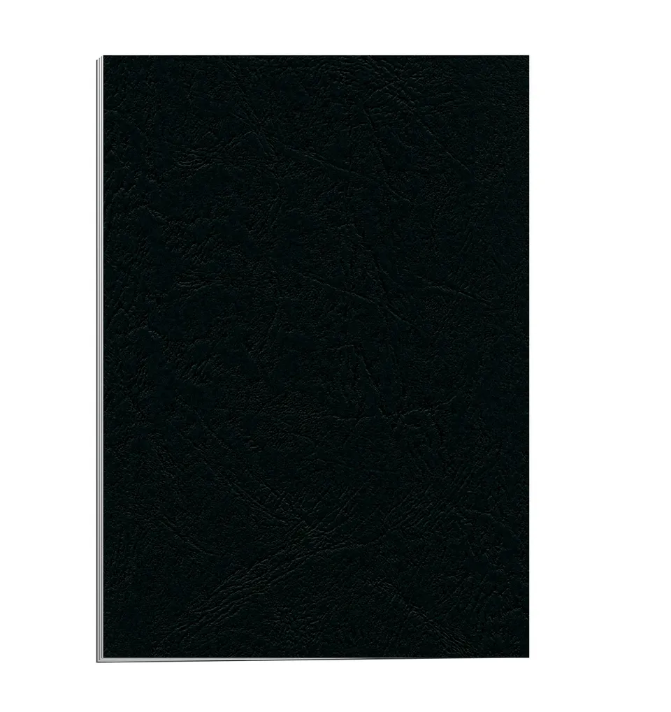 fellowes-delta-plats-de-couverture-a4-noir-250g-bo-te-de-25 image 1