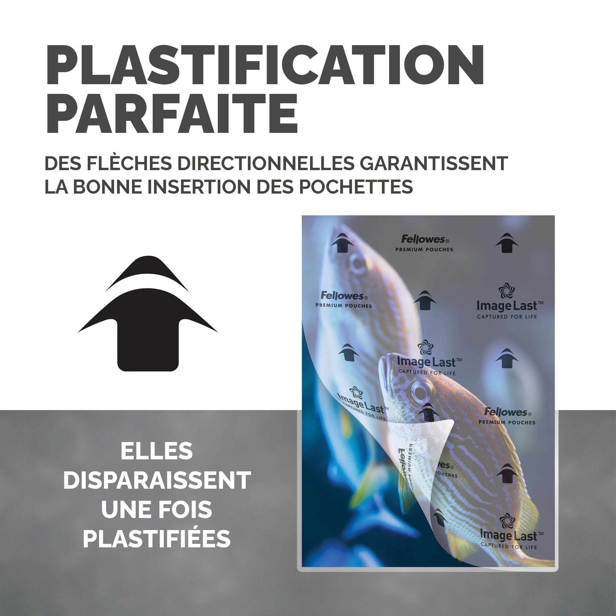fellowes-enhance-80-pochettes-de-plastification-a3-80-microns-brillantes-x100 image 5