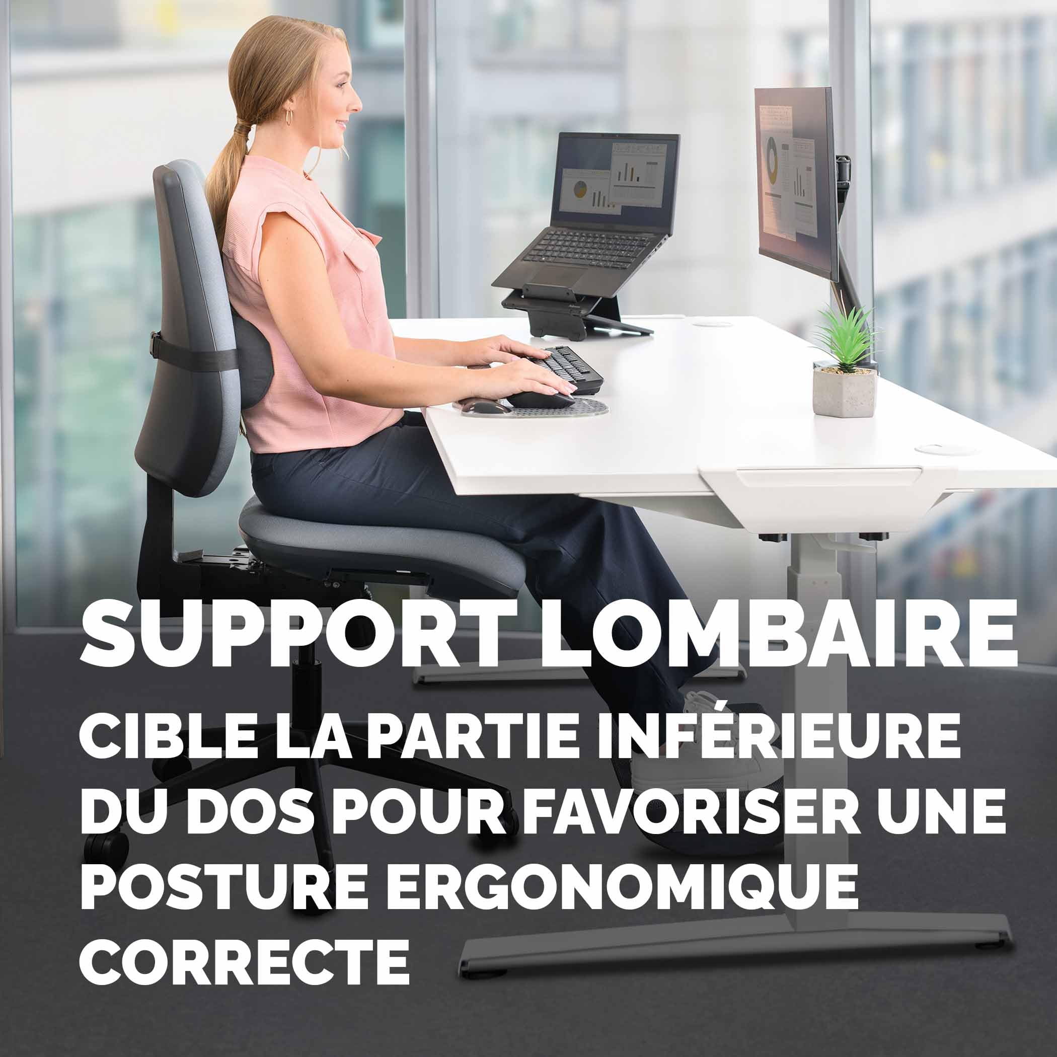fellowes-breyta-coussin-lombaire-ergonomique-sangle-ajustable-garantie-5-ans image 6