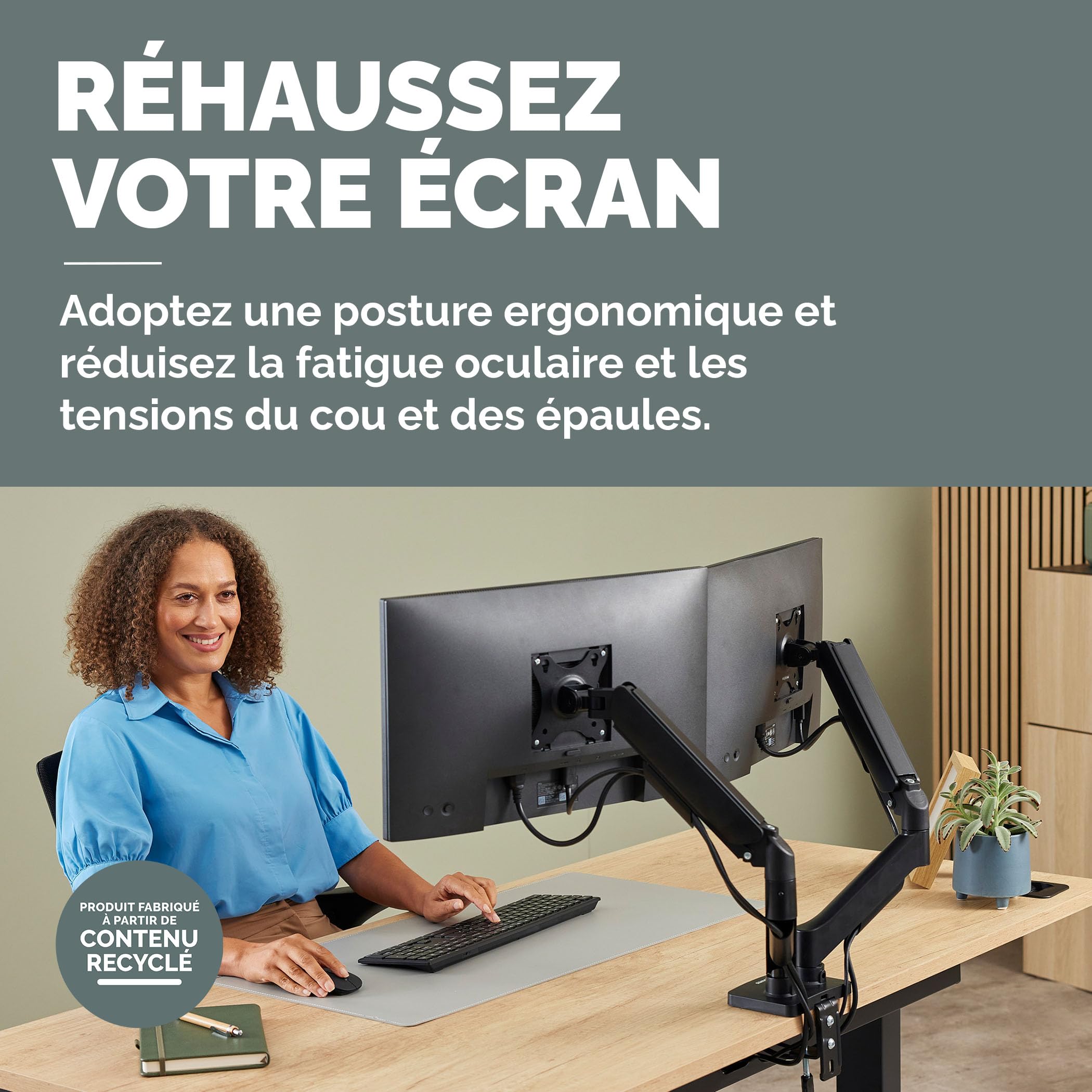 fellowes-everyday-plus-bras-double-crans-ressort-gaz-2x32-9-kg-vesa-75-100 image 2