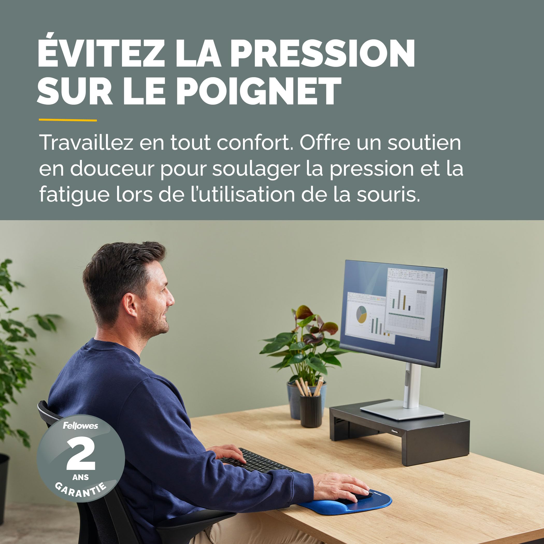 fellowes-everyday-tapis-de-souris-ergonomique-avec-repose-poignet-bleu image 2