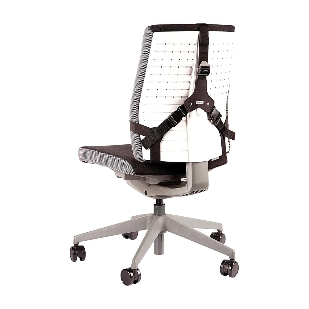 fellowes-professional-series-support-dorsal-premium-m-moire-de-forme-noir image 3