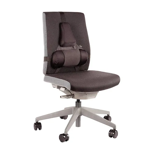 fellowes-professional-series-support-dorsal-premium-m-moire-de-forme-noir image 1