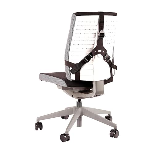 fellowes-professional-series-support-dorsal-premium-m-moire-de-forme-noir image 7