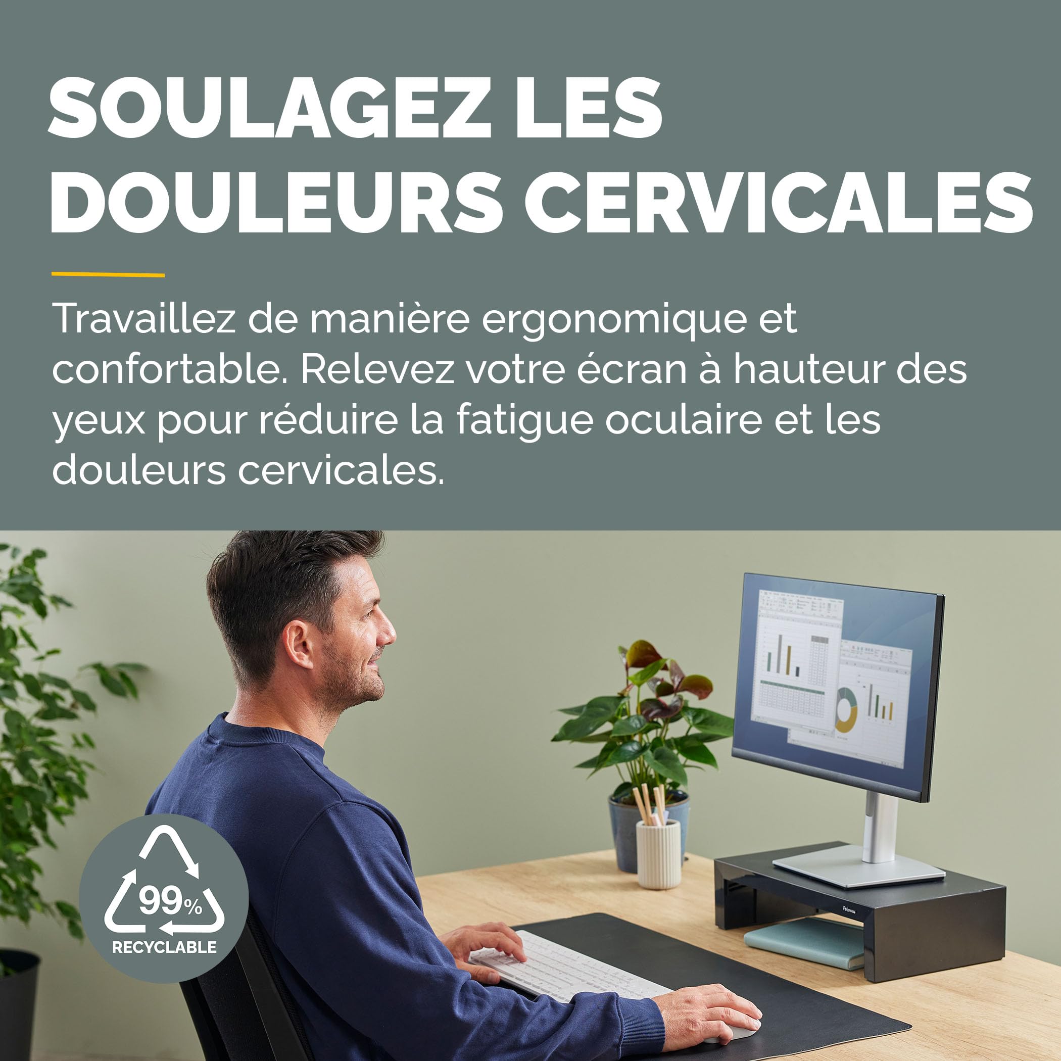 fellowes-everyday-plus-support-d-cran-3-hauteurs-charge-18-kg-noir image 2